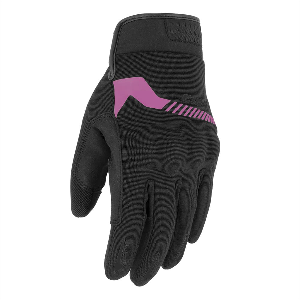 Noir / Violet